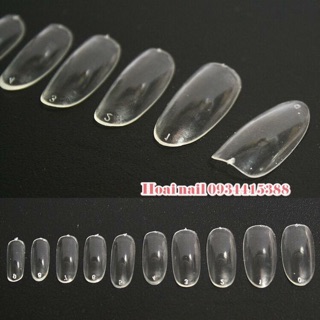 Móng úp đầu tròn - Phụ kiện Nail Giá Rẻ