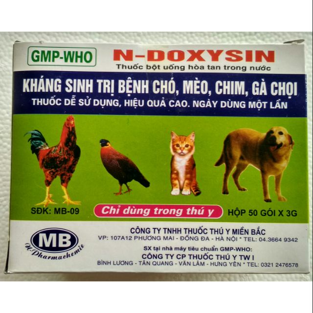 10gói kháng sinh trị bệnh chó mèo