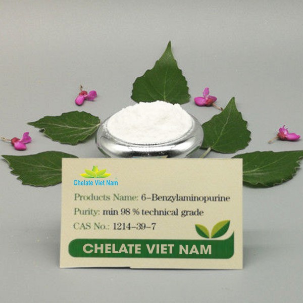 Cytokinin - 6BA 99%  Hormone 6-BAP  tặng kèm dung môi