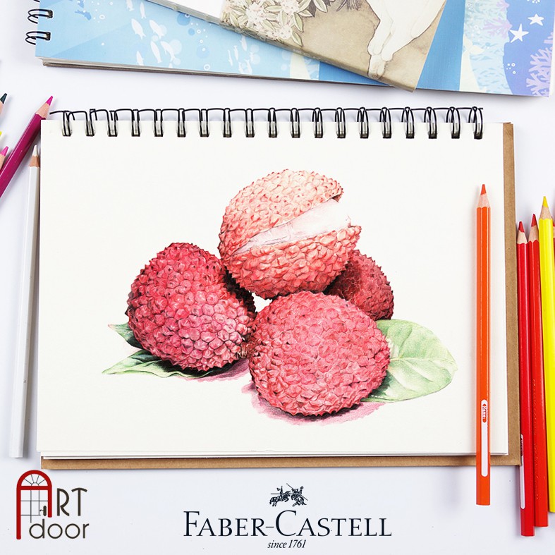 [ARTDOOR] Bộ chì màu Khô FABER CASTELL (hộp giấy)