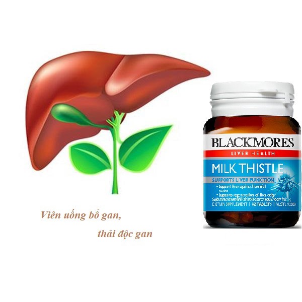 Viên Uống Hỗ Trợ Gan Milk Thistle Blackmore Của Úc 42 viên | Thế Giới Skin Care