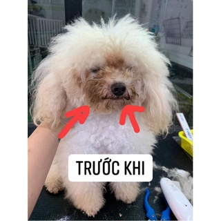 [An Toàn] Sạch ố Lông Cho Chó