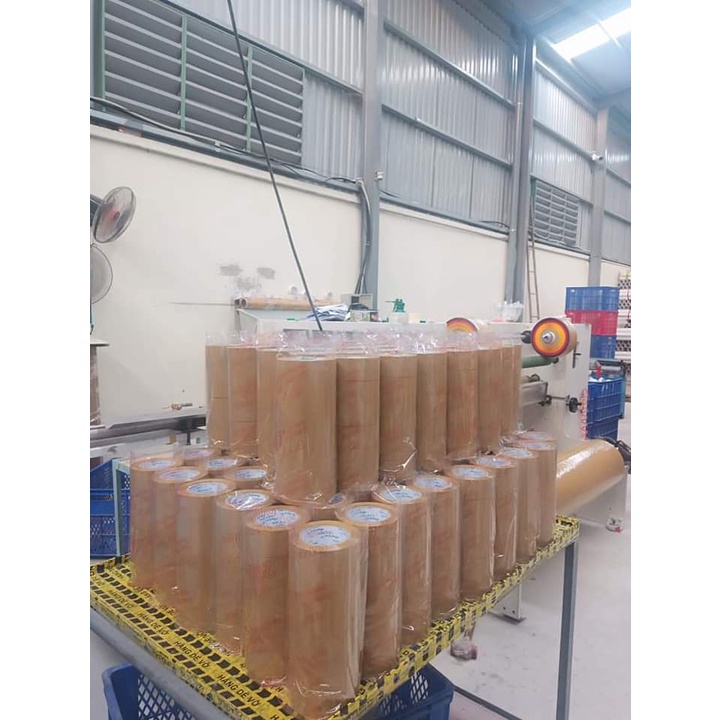 BĂNG KEO TRONG ĐỤC 300Y 1CÂY/6CUỘN /2,4KG