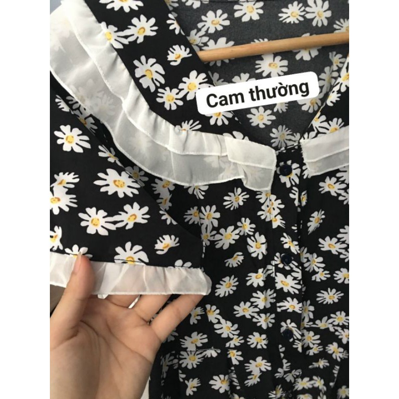 Đầm suông hoa cúc họa mi cổ viền bèo siêu xinh siêu hot