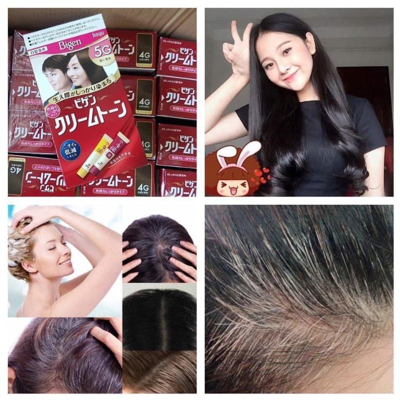 Thuốc nhuộm tóc thảo dược phủ bạc Bigen nội địa Nhật Bản