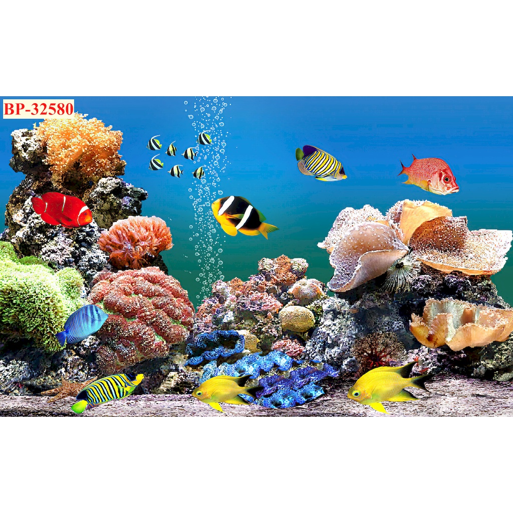 Tranh Trang Trí Đại Dương Biển Cả 3D chất lượng cao, giá rẻ