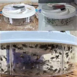 Máy bắt ruồi tự động thông minh