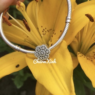 Hạt charm xỏ vòng tay