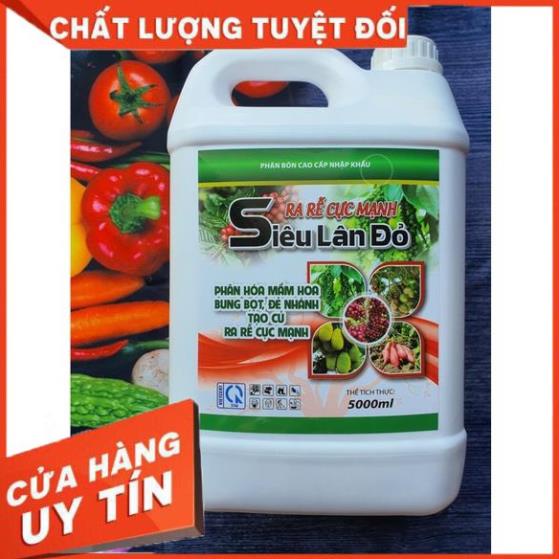 SIÊU LÂN ĐỎ📌HÀNG MỚI, CHẤT LƯỢNG CẢI TIẾN HƠN📌kích rễ,bật chồi,tạo mầm,phân hóa mầm hoa, nuôi củ cực mạnh, phục hồi 2