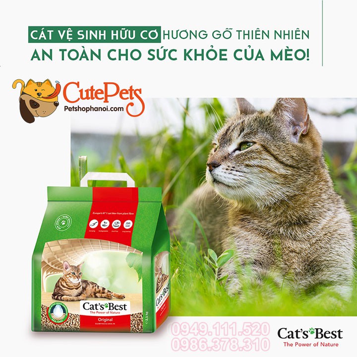 Cát gỗ cho mèo hữu cơ Cat Best Original 5L - Phụ kiện thú cưng Hà Nội