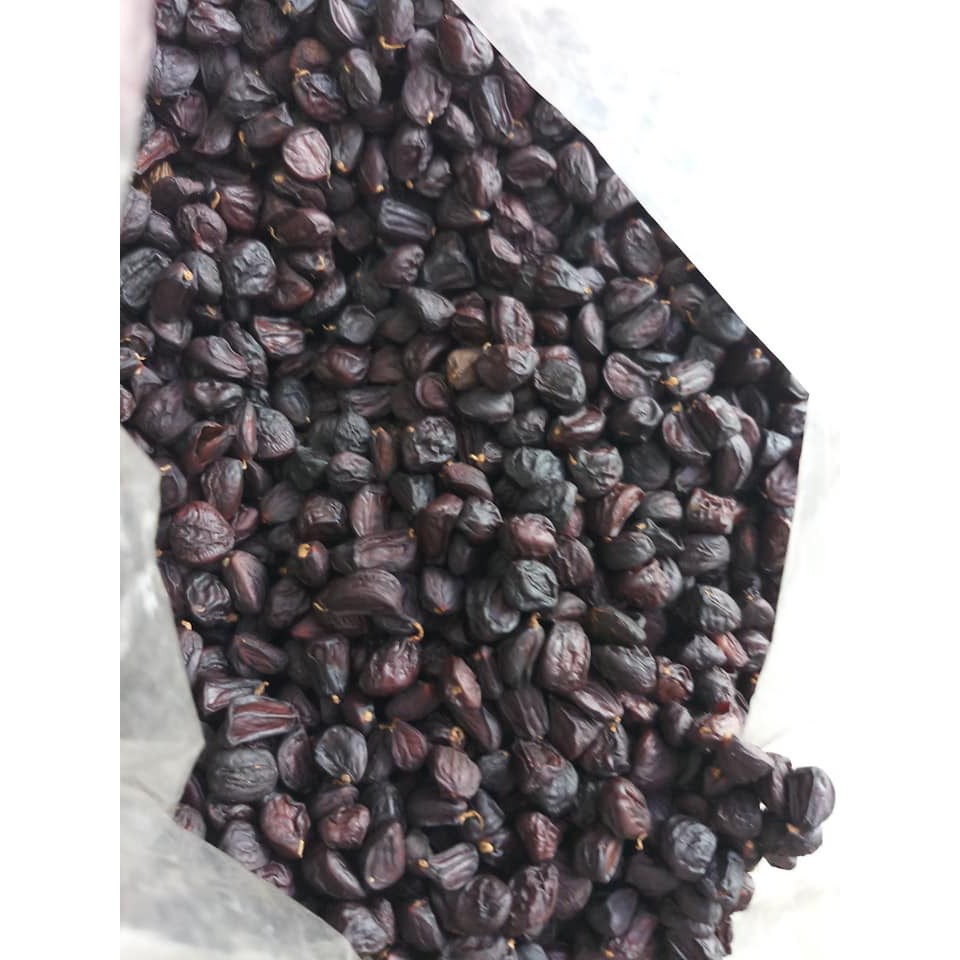 Hạt Dổi nếp Hòa Bình- 50g