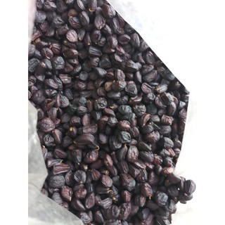 Hạt Dổi nếp Hòa Bình- 50g