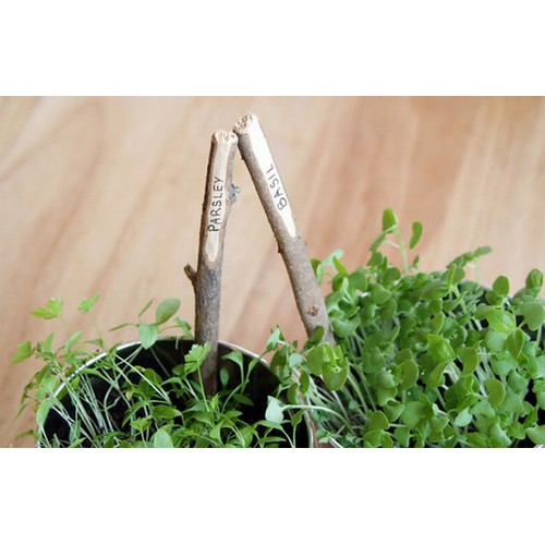 Bó cành củi khô tự nhiên trang trí decor 200gram