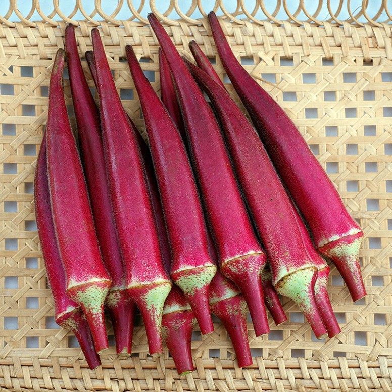 Hạt giống đậu bắp đỏ (tặng phân)