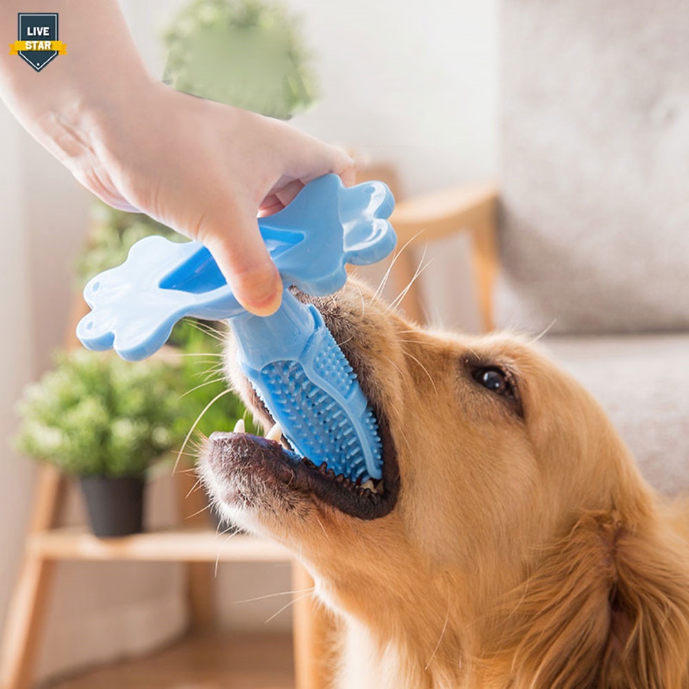 LS Pet Dog Toothbrush Chew Toy Doggy Brush Stick Soft Rubber Teeth Cleaning Toys