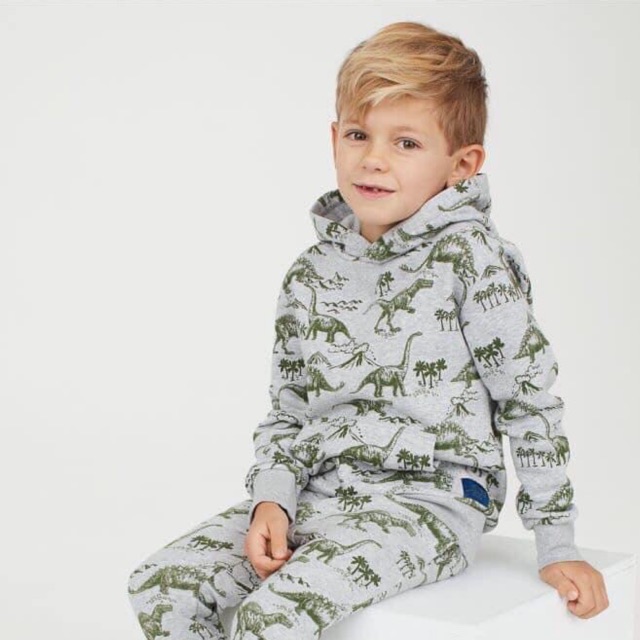 Bộ HM hoodie nỉ da cá BT khủng long size 2-10y