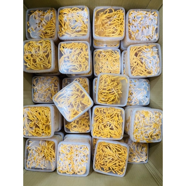 Đông Trùng Hạ Thảo Tươi, Sinh Khối Tươi 200g Hàng Đẹp