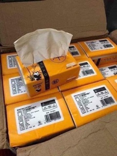 Giấy gấu trúc