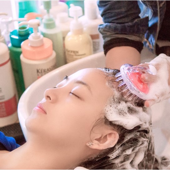 Lược Gội Đầu Silicone Massage Da Đầu Làm Sạch Tóc Nhỏ Gọn Tiện Lợi