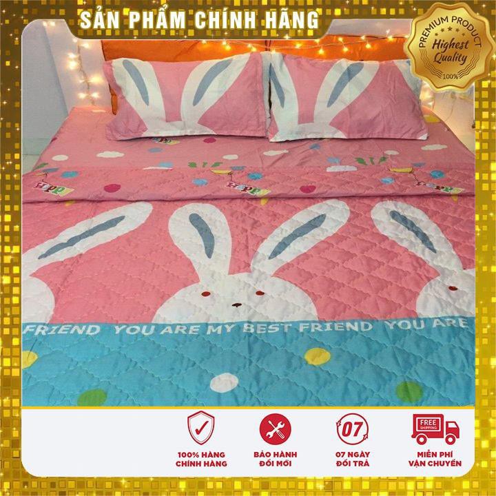 Bộ Drap 4 Món Ga Gối - 1m/m2/m4/m6/m8