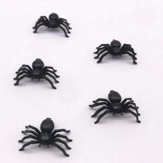 Bộ 5 con nhện mini màu đen nhện giả nhện đồ chơi