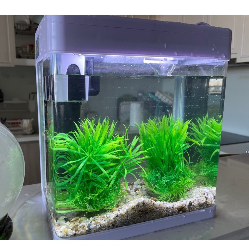 Bể cá mini để bàn MJ260, MJ360, MJ 460, MJ 560, bể có sẵn đèn 3 màu, bộ lọc, tặng kèm cây giả trang trí