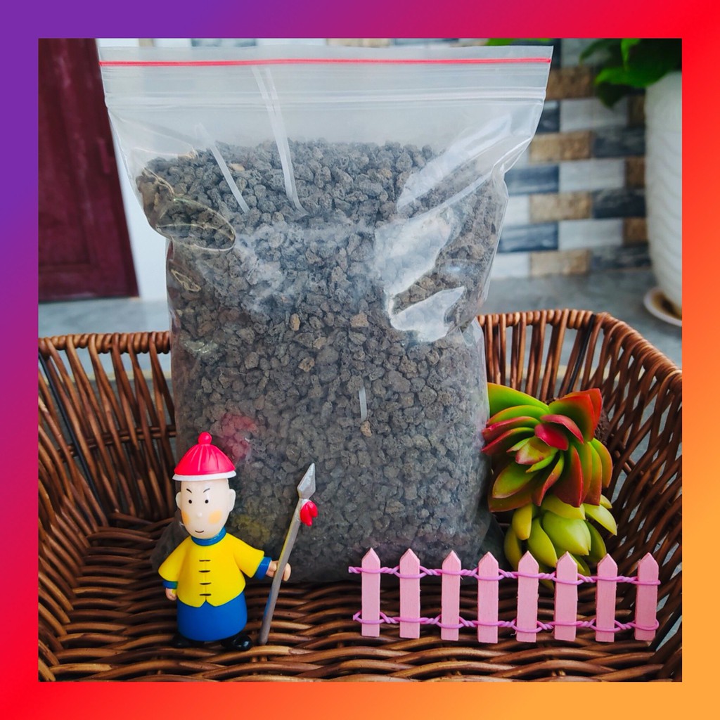 Đá nham thạch đen SONDA GARDEN (1kg) cho sen đá, xương rồng