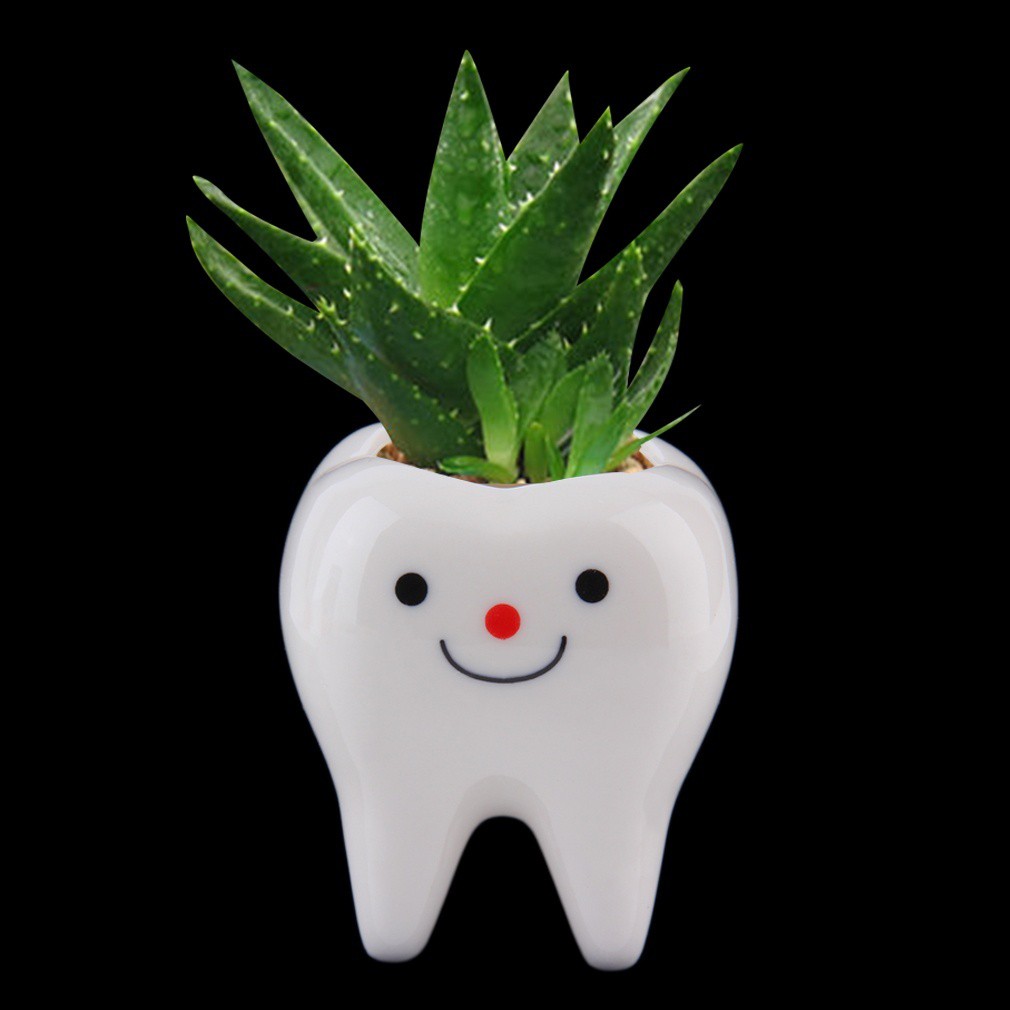 Chậu cây cảnh làm từ gốm sứ tạo hình độc đáo để trang trí nhà cửa