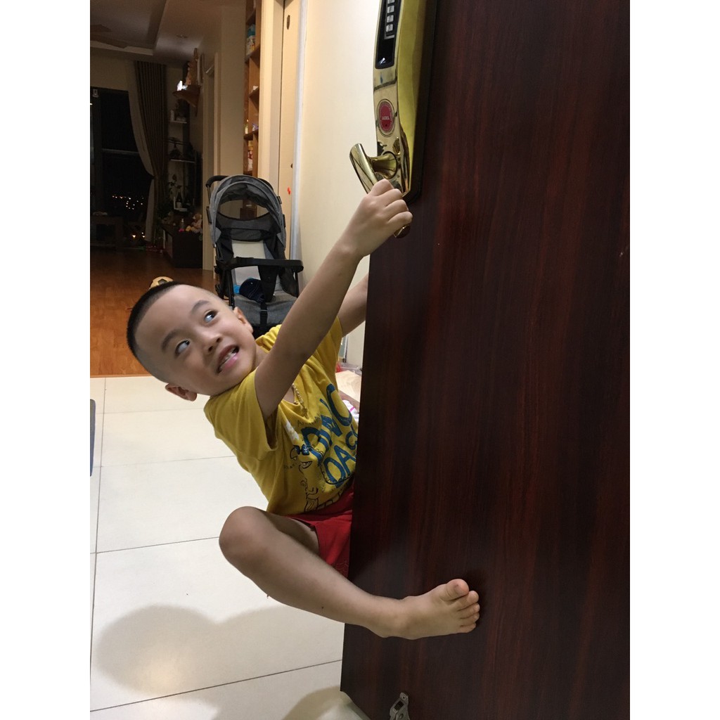 Adel 8908  khóa vân tay