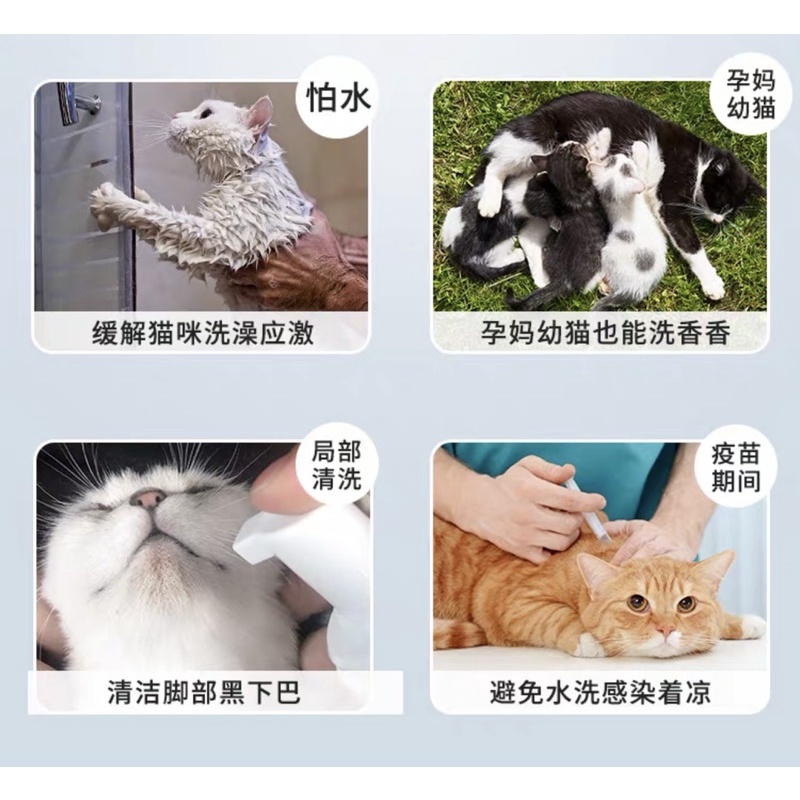 Bọt Tắm Khô Cho Chó Mèo Thảo Dược An Toàn, Dưỡng Lông Sạch Da Cho Chó Mèo 200ml 70 Present - Xiuxiu Giang
