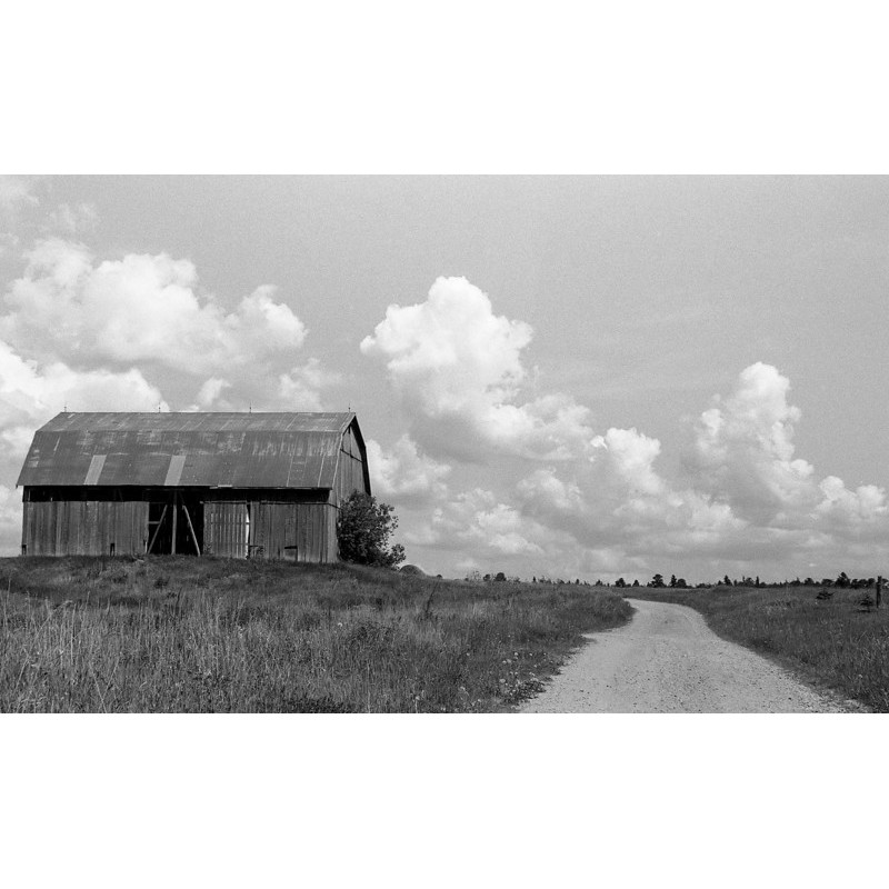 FOMAPAN classic 100 date 03/2026 36exp film 35mm Film trắng đen