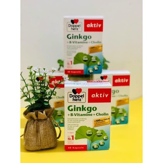 Viên uống bổ trí não Aktiv Ginkgo Dopel, nội địa Đức