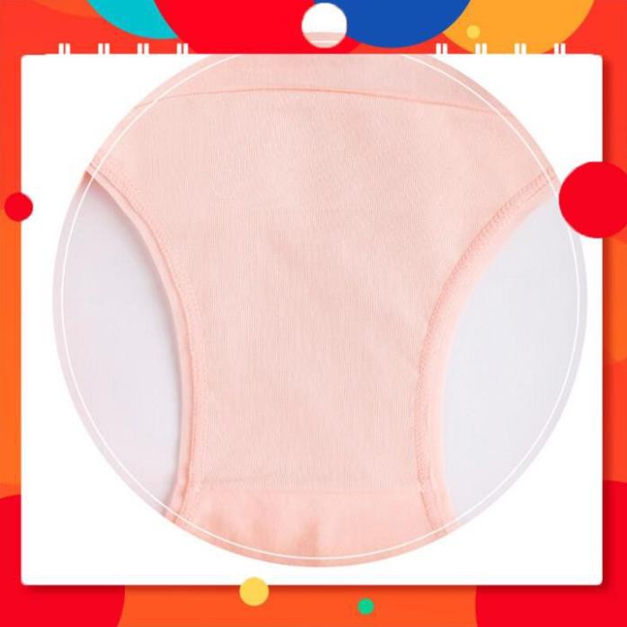 [COMBO] 5 Quần Lót Cotton 60s Một Màu Thấm Hút Thoải Mái Gợi Cảm Nhiều Màu ROSIESTORE CT60S002 | BigBuy360 - bigbuy360.vn