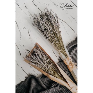 LAVENDER - Bó Hoa Oải Hương Khô Vintage