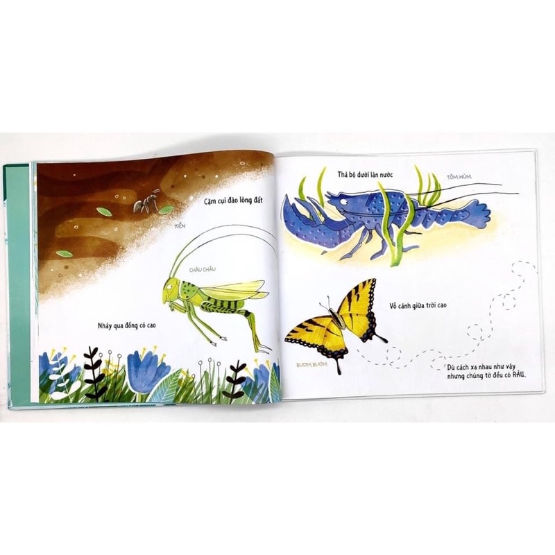 Sách - Tưởng khác mà giống - Khoa học hài hước - Crabit Kidbooks