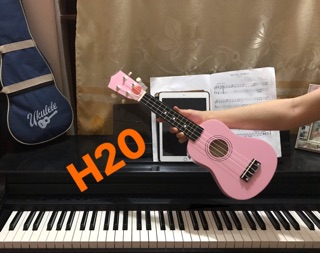 Đàn ukulele full gỗ