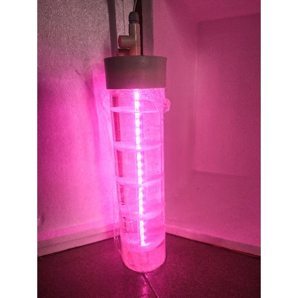 Lò nuôi rong, giảm nồng độ NO3 PO4 cho hồ cá cảnh VN DIY