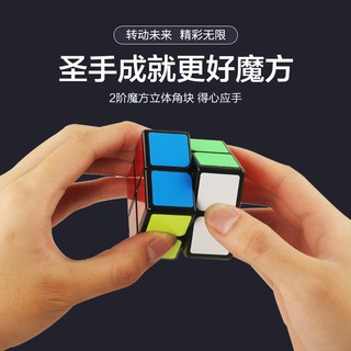 ShengShou Legend 2x2  - SP0024