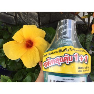 Combo nước Súc miệng Listerine Thái Lan 1500 ml