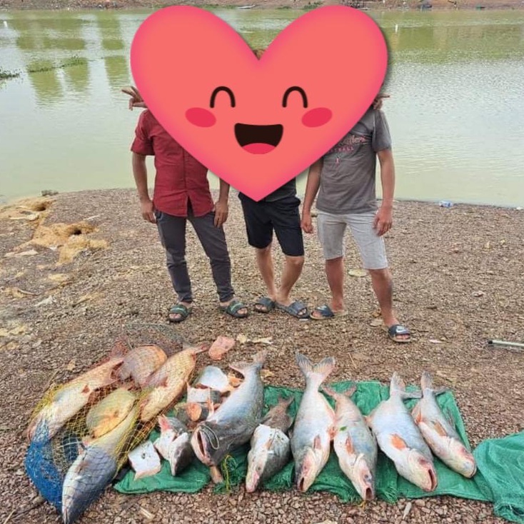 Cám Câu Cá Tra Trộn Câu Giải Đặt Biệt