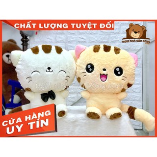 MÈO BÔNG MẶT BỰ