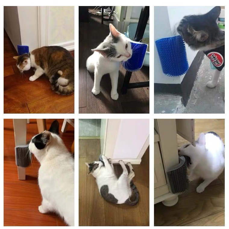Đồ chơi cho mèo cạ mặt gãi ngứa dán tường cỏ bạc hà catnip thư giãn Con Mèo Xiêm