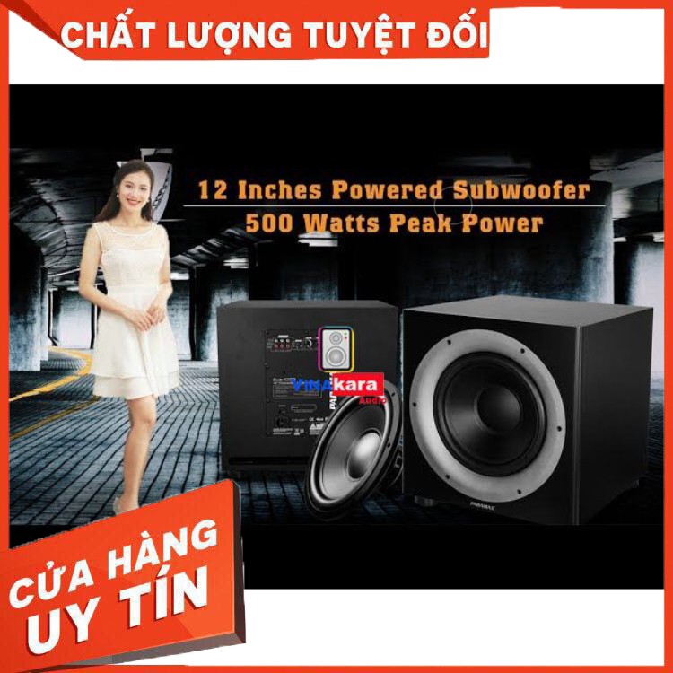 Loa sub điện Paramax 1000-New bass 30cm, phù hợp < 30m2, hàng chính hãng, BH 5 năm - Tặng dây kết nối - Hàng chất lượng