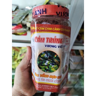 Cám trứng Vương Việt Anh