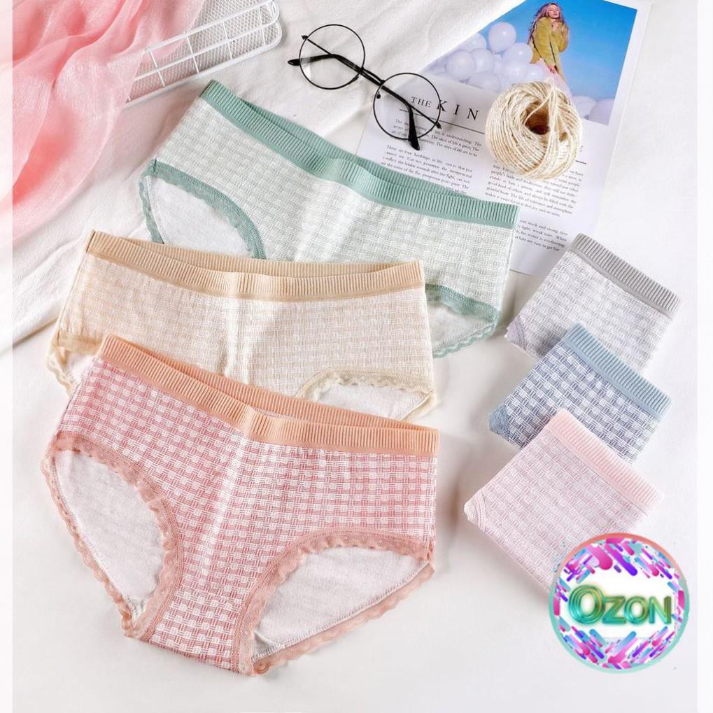 Quần Lót Cotton Sợi Bông Co Giãn Kháng Khuẩn DL101