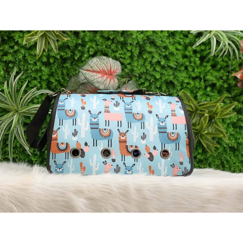 [ RẺ NHẤT ] TÚI VẬN CHUYỂN CHÓ MÈO GIÁ RẺ