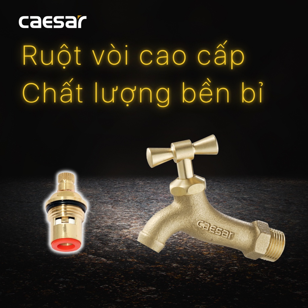 Vòi Lạnh Gắn Tường - W034 CAESAR