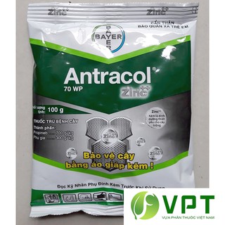 Antracol 70wp – trị nấm bệnh, bảo vệ lá gói 100g