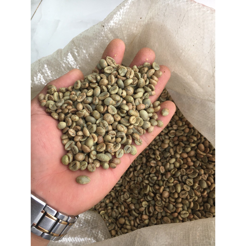 Cà phê nhân xanh chưa rang green bean