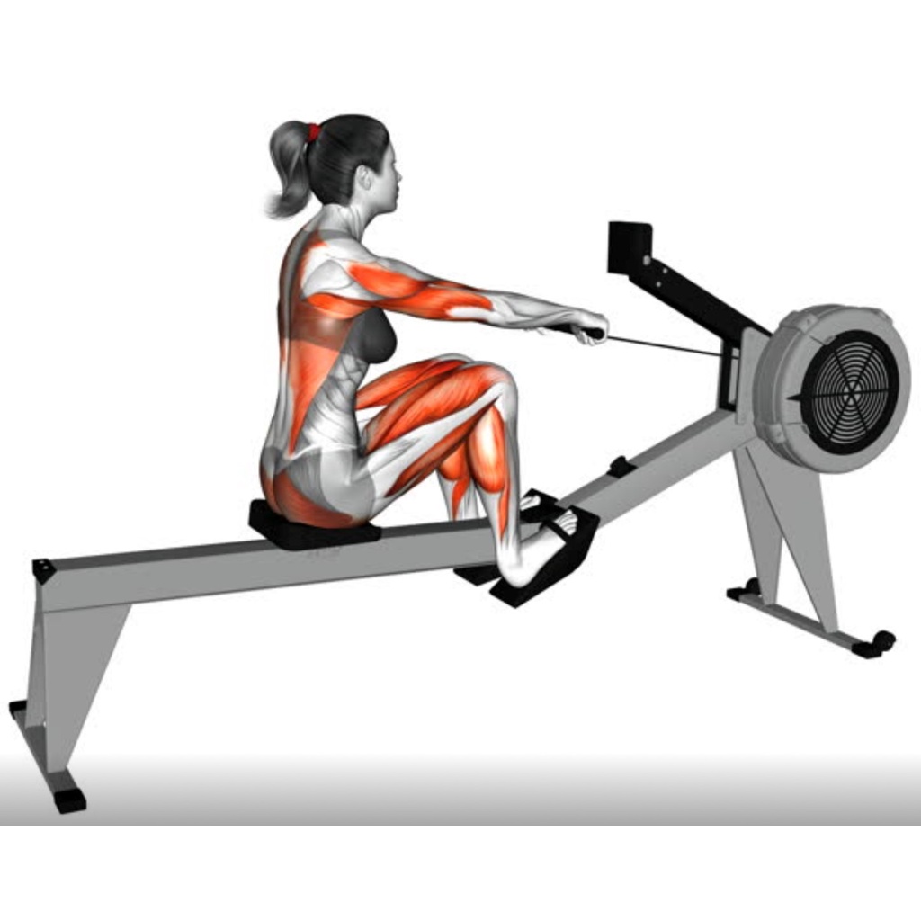 Máy tập chèo thuyền, máy chèo thuyền tại nhà